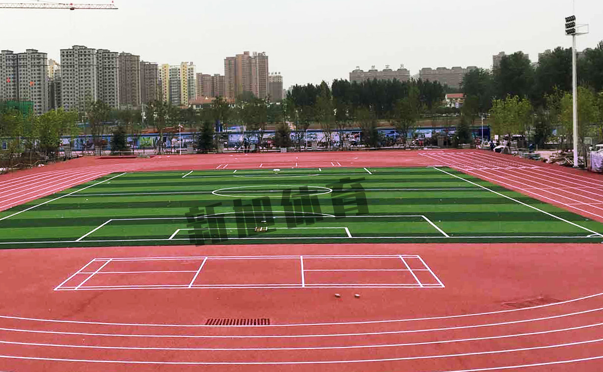 跑道材料生產(chǎn)廠(chǎng)家施工自結紋工藝