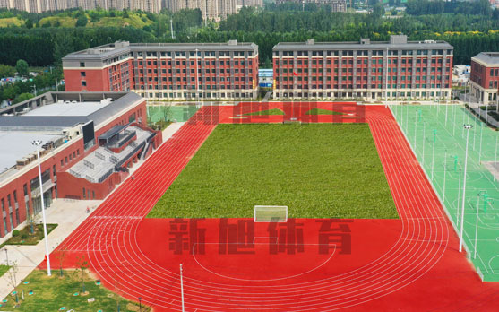 河南塑膠跑道材料生產(chǎn)廠(chǎng)家